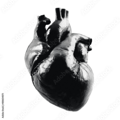 Halftone Heart Art Collage Cut Out Black & White Illustration for Medical & Anatomical Designs, Vintage Aesthetic Vector