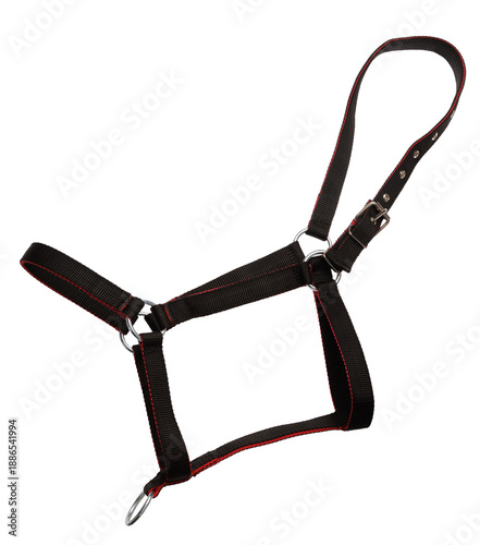 Obraz na plátně Horse halter isolated on transparent background