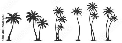 Palm tree silhouettes, tropical beach summer nature vector illustration set, coconut tropics coastal landscape outdoor greenery foliage on transparent background