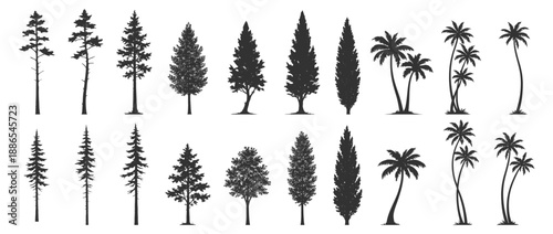 Tree silhouette vector illustration with forest foliage nature plant greenery landscape oak pine palm deciduous conifer canopy ecology wild botanical scenic environment on transparent background