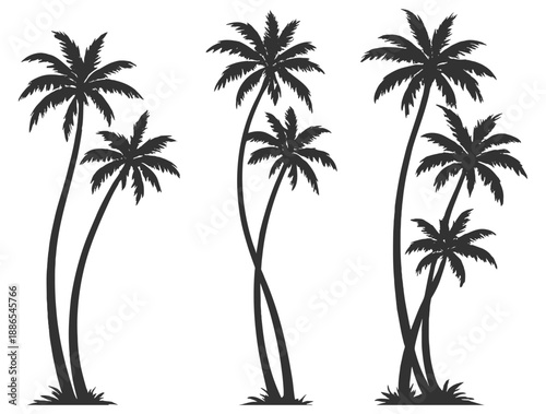 Palm tree silhouette collection, tropical beach summer nature vector set, coconut holiday tourism minimal design clipart decor poster print on transparent background