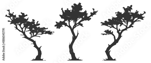 Tree silhouettes, acacia savanna nature forest landscape vector set, branch trunk leaf canopy safari wild desert arid outdoor scenery on transparent background