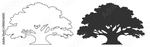 Tree silhouette collection, oak deciduous canopy vector illustration, forest nature landscape plant foliage, black isolated clipart on transparent background