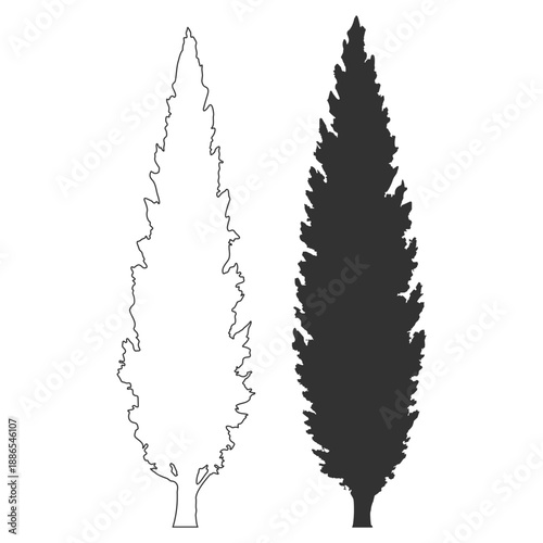 Conifer tree silhouette set, cypress poplar pine spruce fir, forest nature vector illustration, evergreen landscape botanical outdoor, black isolated on transparent background