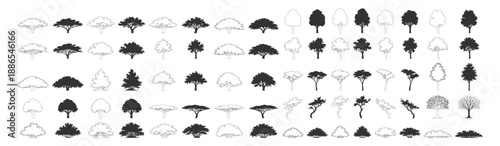 Tree silhouette vector illustration with forest foliage nature plant greenery landscape oak pine palm deciduous conifer canopy ecology wild botanical scenic environment on transparent background