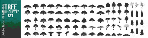 Tree silhouette vector illustration with forest foliage nature plant greenery landscape oak pine palm deciduous conifer canopy ecology wild botanical scenic environment on transparent background