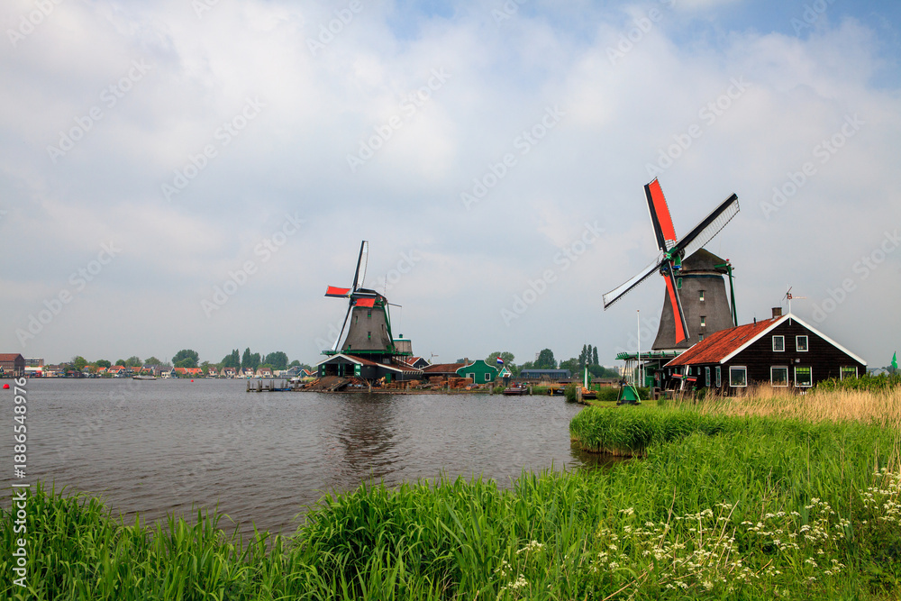 Naklejka premium Windmills near Dutch village