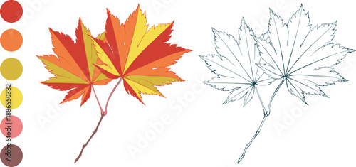 Slika na platnu Set of red-yellow colored autumn maple leaves and fall color palette