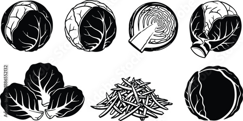 Line art detailed top view sliced cabbage head and whole heads shredded pile leaves close up cut wedge monochrome vector icon collection bold graphic outline style