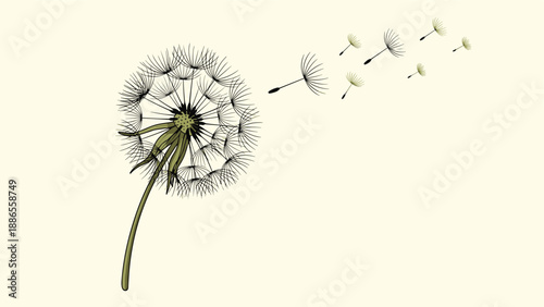 Detailed illustration of a dandelion flower head with seeds being blown away by the wind on a light beige background for nature.