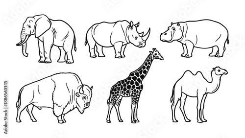 Wildlife Lineup: An artistic depiction of diverse wildlife animals, with a giraffe, camel, and a range of others. The image showcases the beauty and uniqueness of each species.