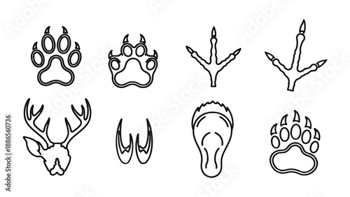 Animal Tracks: A collection of various animal tracks and traces. They highlight the different footprints left by animals, inviting exploration.