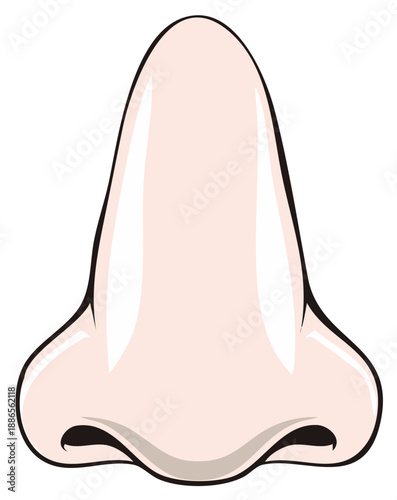 Illustration depicting a cartoon style nose with detailed nostrils and skin tone shading for health and design concepts