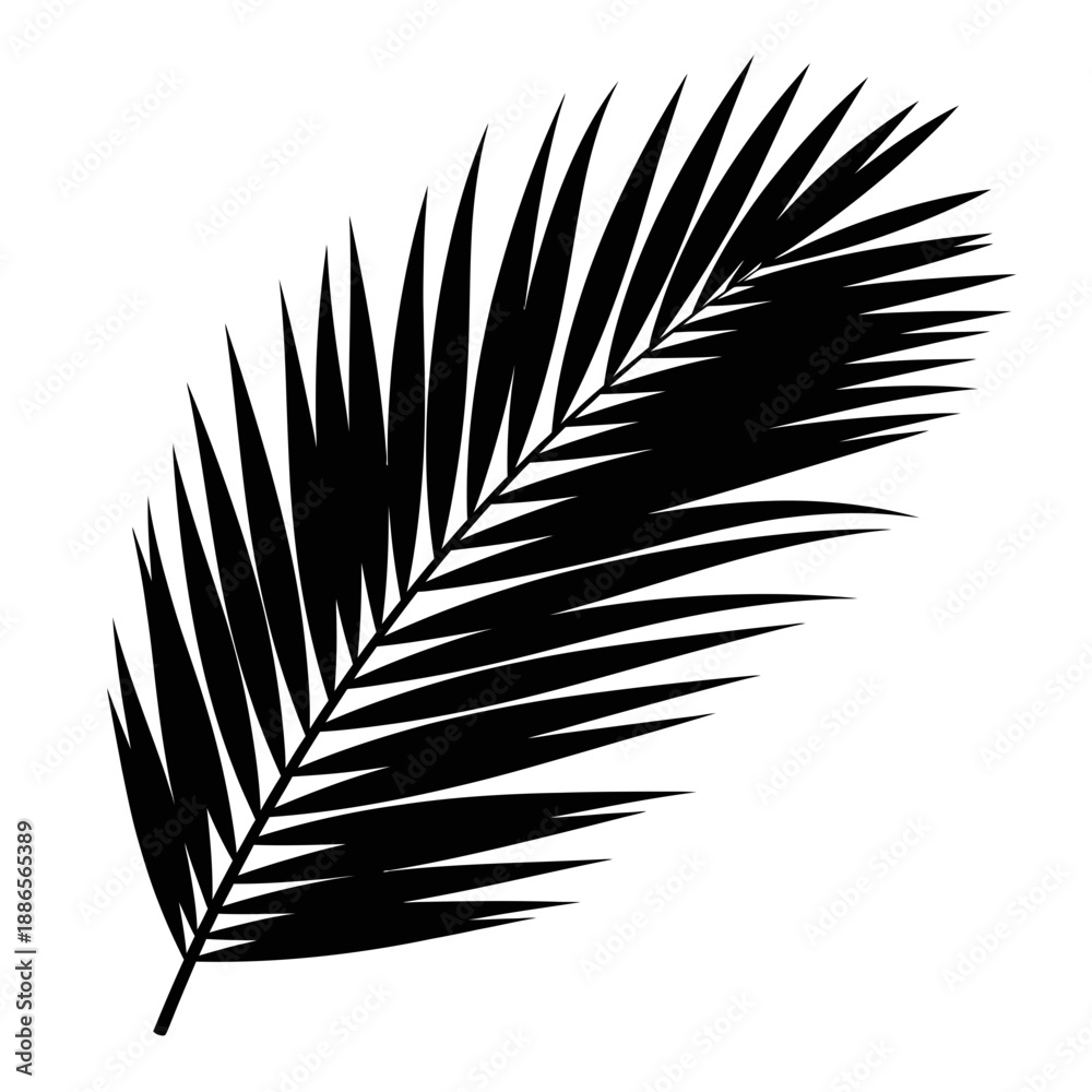Obraz premium Palm Leaf Tropical Frond Silhouette Vector Illustration Isolated on White Background Summer Nature Icon