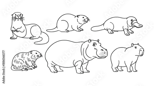 Wild Animals Outline: A collection of various wild animal sketches featuring detailed outlines, suitable for educational or design purposes. 