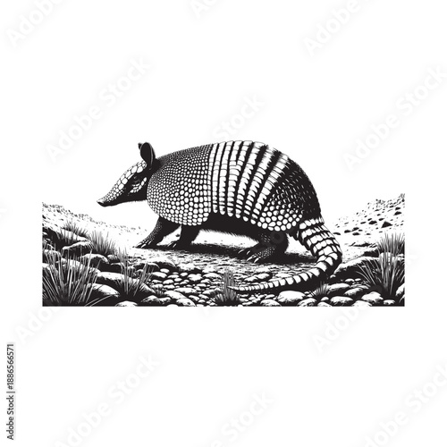 Armadillo walking on rocky terrain in black and white illustration