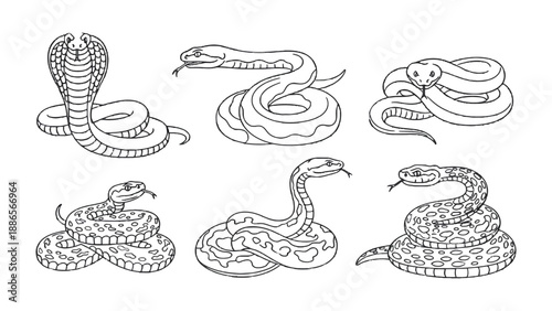 Serpentine Sketches: A collection of various snake illustrations in a black and white outline style, showcasing different postures and appearances.