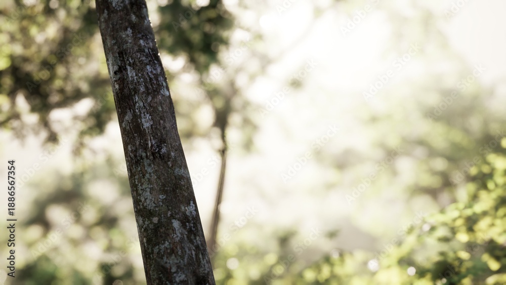 Fototapeta premium Gentle sunlight spills through the leaves of lush trees, creating a tranquil atmosphere in a peaceful forest. Nature awakens with vibrant greens and soft sounds of wildlife.