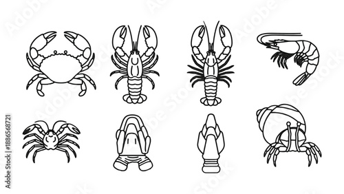 Marine Lineup: A captivating collection of intricately designed sea creatures in a minimalist linear style, showcasing the elegance of marine life. 