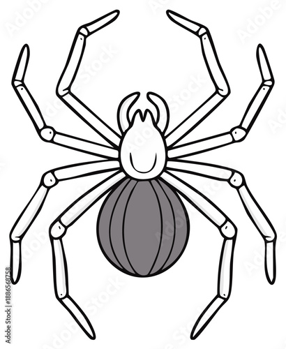 Spider Illustration with Eight Legs and a Round Abdomen Graphic