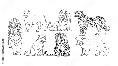 Photography Big cat outlines in black: An artistic arrangement of various big cats outlined in black, offering a minimalist yet impactful representation of diverse felines in their full glory