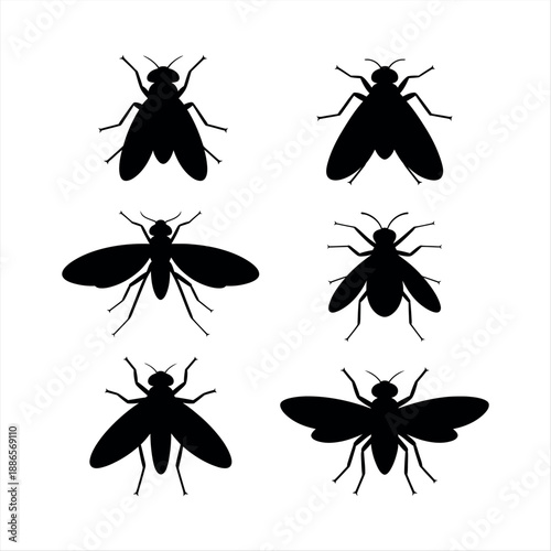 Collection of black silhouette insects Vector