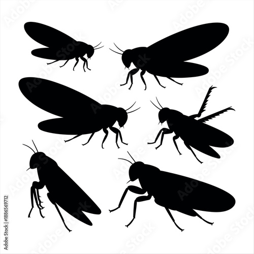 Silhouettes of flying insects Vector