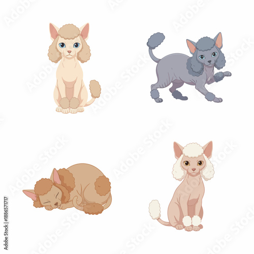 The Beautiful and Rare Sphynx Cat Breed