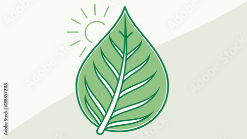 Green leaf with sun and rays illustration light