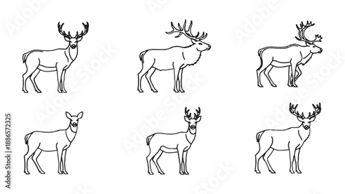 Deer Silhouettes: A collection of meticulously crafted deer silhouettes, each exhibiting unique poses, are elegantly presented against a clean backdrop, perfect for design and thematic integration.