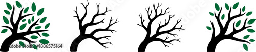 Four Seasons Tree Nature Change Vector Illustration Set