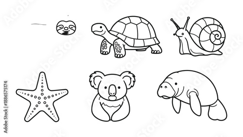 Wildlife Collection: A meticulously crafted collection of various wildlife animals in an artistic display, offering a study of the natural world's diverse creatures.