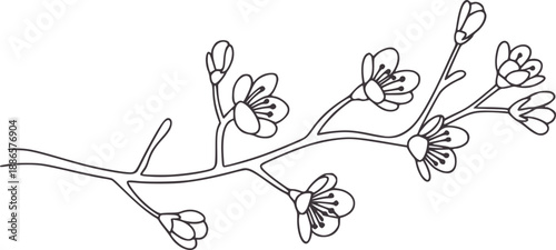 Minimalist black and line of a branch with small flowers
