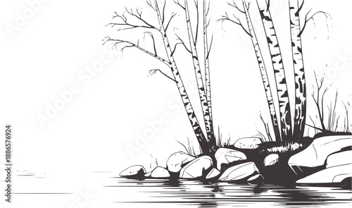 Minimalist black and birch trees by rocky lakeside