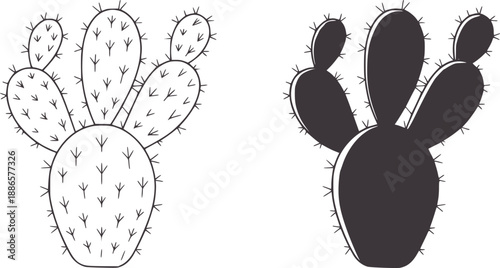 Two cactus plants in outline and filled flat with spikes and segments