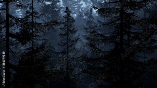 Photography In the twilight, tall trees stand silently, their silhouettes blending into the deepening shadows