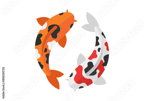 Dos peces koi japoneses de colores nadando en círculo formando un símbolo