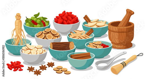 Various traditional herbal medicine ingredients and tools displayed as a high-quality vector illustration, ideal for natural health concepts