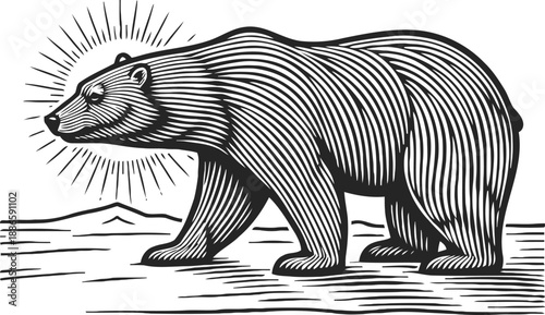 Black and white line art bear illustration with sun rays, nature wildlife drawing, vintage animal design