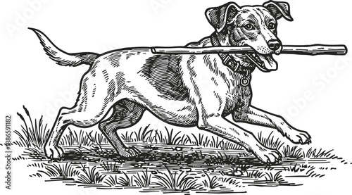 Playful dog carrying stick outdoors energetic pet running on grass happy canine enjoying nature walk and fetch