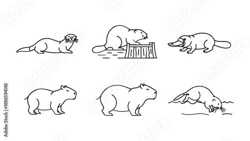 Diverse Wildlife Collection: A set of black and white line art illustrations of diverse animals. This collection showcases the beauty and uniqueness of various creatures.