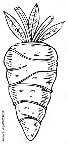Black and white illustration of a carrot with its green leaves