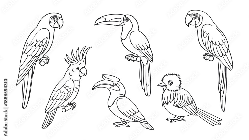 Fototapeta premium Tropical Avian Collection: A captivating black and white illustration of various vibrant tropical birds. Featuring intricate details, showcasing each species' unique plumage and characteristics.
