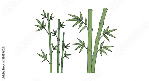 Vector illustration of bamboo stalks with green leaves on white background