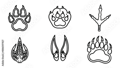 Animal Footprints: A collection of various animal footprints, each meticulously drawn, inviting exploration of animal tracks and their unique patterns.