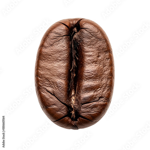 Detailed macro shot of a single roasted coffee bean on transparent background