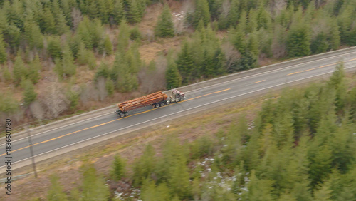 Obraz na plátne DRONE: 18 wheeler hauls heavy logs down freeway leading through a pine forest