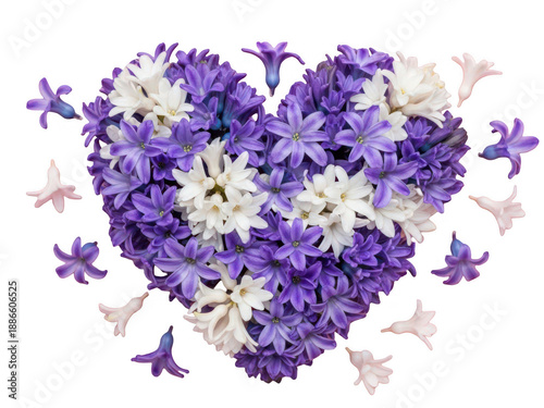 A beautiful heart shape composed of purple and white hyacinth flowers on transparent background