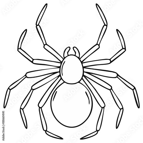 Eight Legged Arachnid Spider Outline Illustration for Halloween Design or Educational Use