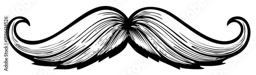 Ink drawing of a luxurious, curled mustache, isolated on white